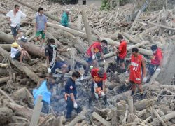 Philippines: Nhiều nạn nhân bão Bopha phải cướp phá tìm thức ăn