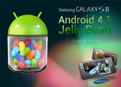 Samsung Galaxy S II và Note sẽ được nâng cấp lên Jelly Bean vào tháng 1