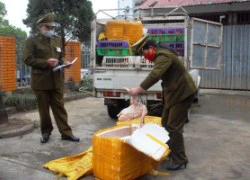 Tịch thu 700 kg gia cầm nhập lậu