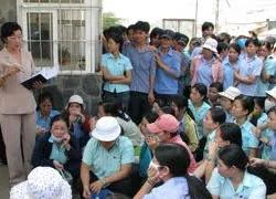 TP.Hồ Chí Minh: Năm 2012 chi bảo hiểm thất nghiệp gấp 7 lần năm 2011