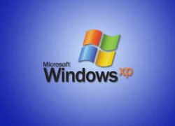 Windows XP dần &#8220;mất hút&#8221; trong từ điển người dùng