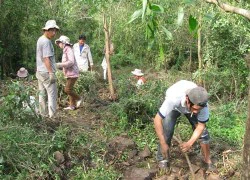 Xới tung núi tìm "thần dược" trị ung thư