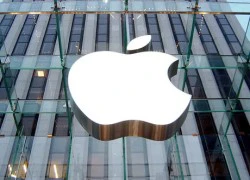 2012: Năm thăng hoa của Apple và Microsoft