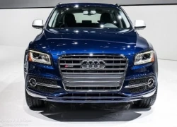 Ấn tượng với Audi SQ5 dáng thể thao độc đáo