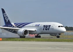 ANA hủy thêm 379 chuyến bay Boeing 787 Dreamliner