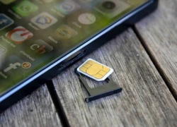 Apple được cấp phép bản quyền... khe cắm sim