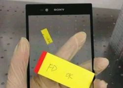 Bật mí về phablet màn hình 6,44 inch của Sony