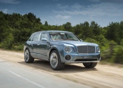 Bentley SUV sẽ được sản xuất