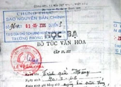 Cán bộ xã dùng bằng giả