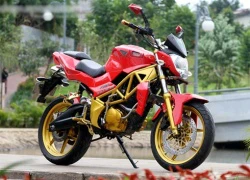 Honda Tiger độ phong cách Streetfighter