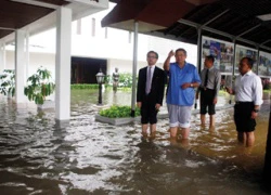 Jakarta chìm trong lũ, 11 người chết