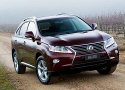 Lexus crossover mới xuất hiện vào cuối 2013