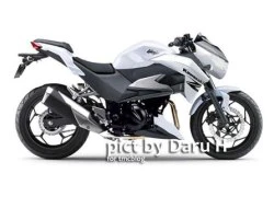 Lộ ảnh môtô Kawasaki Z250 hoàn toàn mới