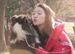 Park Shin Hye mê mẩn cún cưng