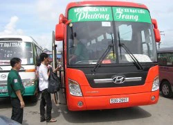 Phương Trang tăng 104 xe phục vụ Tết