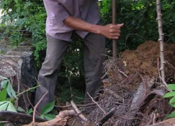 Săn &#8216;hàng độc&#8217; ở rừng