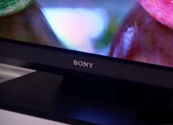 Sony sắp trình làng TV OLED 4K đầu tiên thế giới