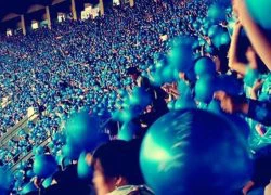 SuJu được fan 'cưng chiều' như thế nào?