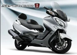 Suzuki Skywave 650 2014 - xế khủng ít hao xăng