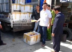 Thu giữ hơn 300kg thịt đà điểu không qua kiểm dịch