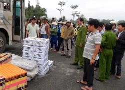 Vận chuyển quần áo, thuốc đông dược chung với... thịt lợn "bẩn"