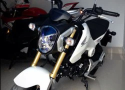 Xe côn tay Honda MSX 125 đầu tiên tại Việt Nam