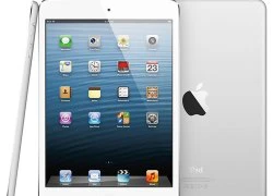 Apple bắt đầu phát triển màn hình Retina cho iPad Mini