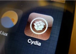 Cydia quá tải trong ngày iOS 6.1 bị jailbreak