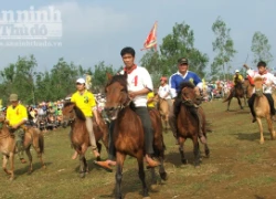 Đầu xuân, kỵ sĩ "chân đất" đua ngựa gò Thì Thùng