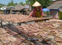 Hối hả làm khô bán Tết