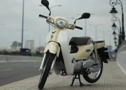 Honda Cub 110 - hồi sinh huyền thoại