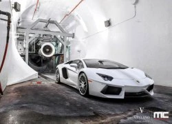 Lamborghini Aventador tinh khôi với màu trắng bạch mã