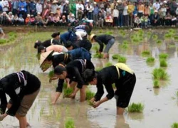 Lễ hội Lồng tồng trở thành di sản quốc gia