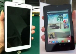 'Nexus 7' hỗ trợ hai sim của Trung Quốc