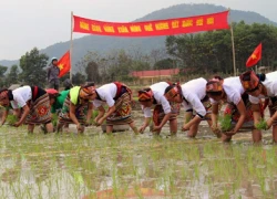 Nghệ An: Khắp nơi tưng bừng lễ hội xuống đồng