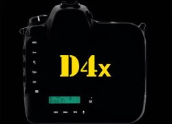 Nikon có thể ra D4x cảm biến 36 'chấm' năm nay