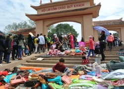 Phở "chém", hàng Tàu "đại náo" hội Lim