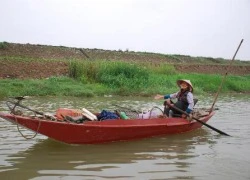 Săn cá mòi trên sông Hồng