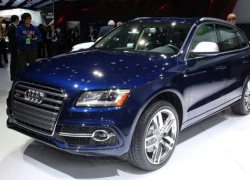 Sẽ có Audi Q2, Q4 và Q6