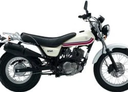 Suzuki Van Van 125 2013 - Môtô của dân phố thị