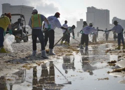 Thảm họa từ &#8220;siêu lợi nhuận&#8221;