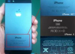 Thêm bằng chứng cho thấy iPhone 5S và iPhone 6 sẽ ra mắt trong năm nay