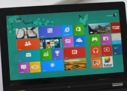 Thị phần Windows 8 tăng trưởng chậm