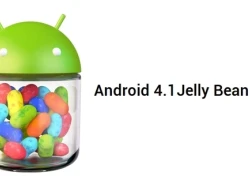 Android Jelly Bean đang lên ngôi