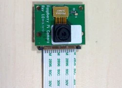 Camera 5 'chấm' cho bo mạch Raspberry Pi