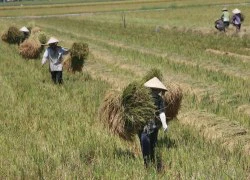 Cần tăng tiền đền bù cho người dân