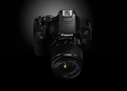 Canon EOS 650D đoạt giải "Máy ảnh DSLR của năm"