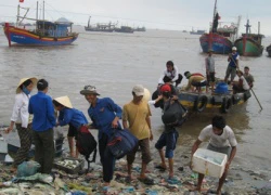 Chìm tàu cá, nhiều ngư dân gặp nạn