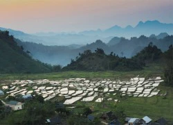 Chùm ảnh: Mơ màng trên cao nguyên Mộc Châu