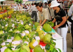 Doanh nghiệp bất động sản vượt khó bằng "nghề tay trái"